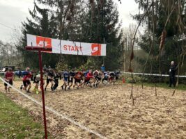 Erfolgreiche Landesmeisterschaft Cross um den Mittelpunkt von Sachsen